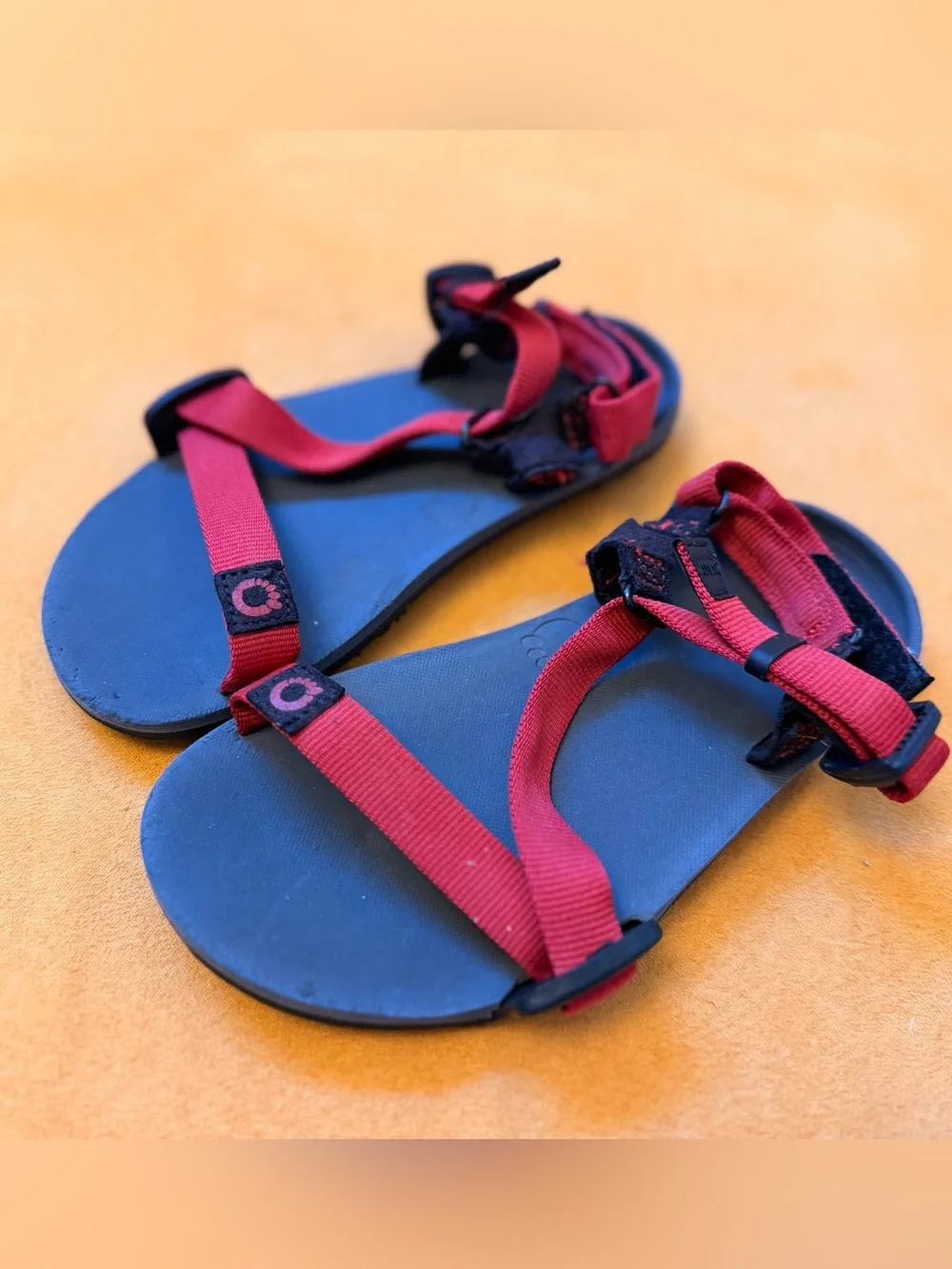 Xero Shoes Z-Trail - Big Kids – The Ultimate Sport Sandal